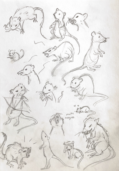 sketches of rats